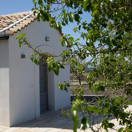 Masseria Celentano Relais & Agriturismo San Severo Dış mekan fotoğraf